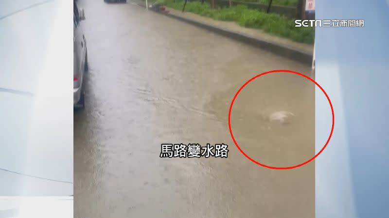 鳳山忠孝里因大雨淹水，馬路變水路。