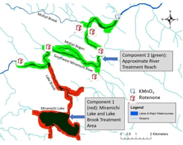 Atlantic Salmon Federation