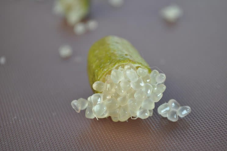 Il finger lime è un frutto esotico, un limone di origine australiana, dalla forma cilindrica e dalla polpa in forma di perline trasparenti. (Credits - Flickr/Susie Wyshak)