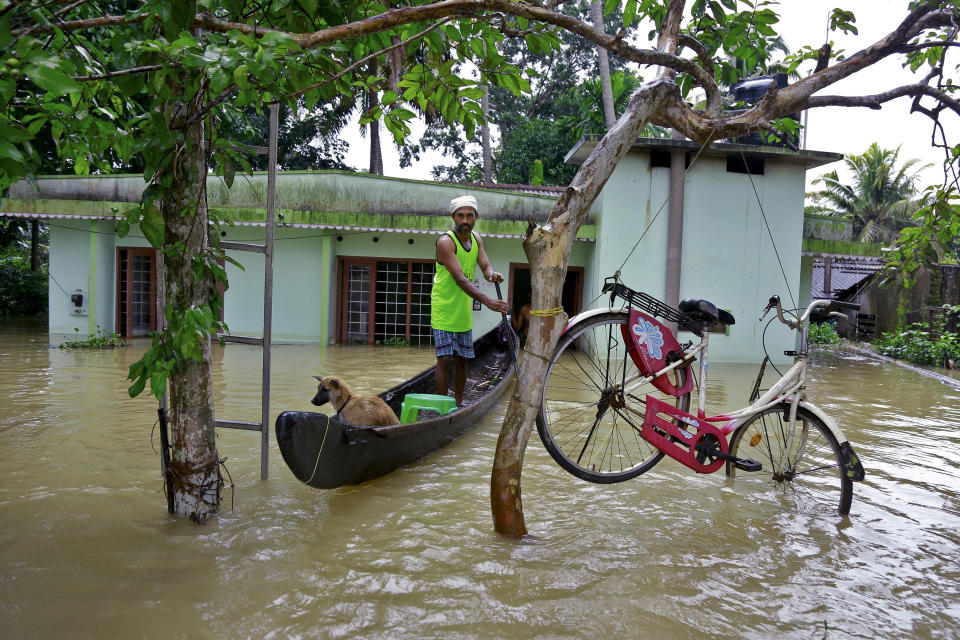 FILE - In this Monday, Aug. 20, 2018 file photo, a bicycle is hung from a tree branch to avoid being washed away in flood waters as a man rows past with his dog in a boat at Kuttanad in Alappuzha in the southern state of Kerala, India. Kerala was battered by torrential downpours starting Aug. 8, with floods and landslides killing hundreds. About 800,000 people found shelter in 4,000 relief camps. (AP Photo/Tibin Augustine)