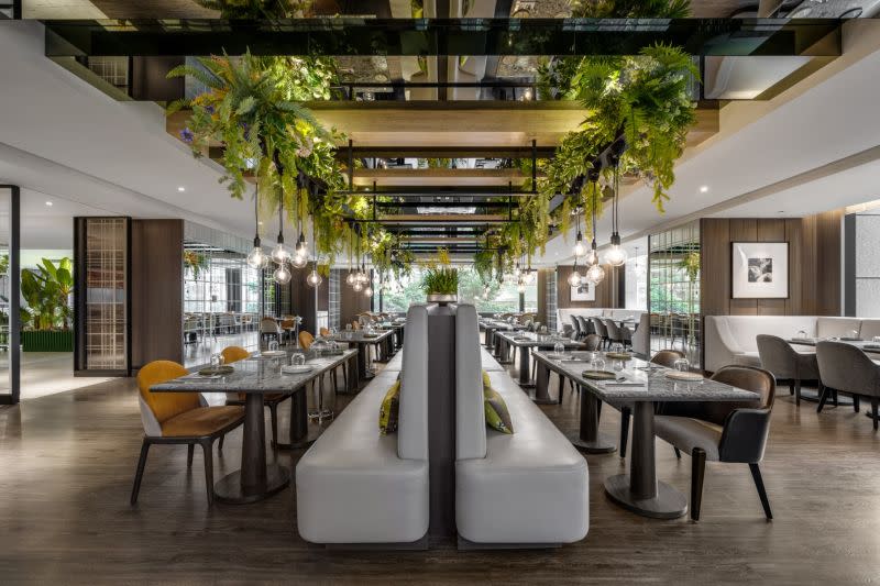 ▲板橋凱撒Lotus蓮花餐廳，被燦亮綠意環繞，開闊又舒適。（圖／板橋凱撒大飯店提供）