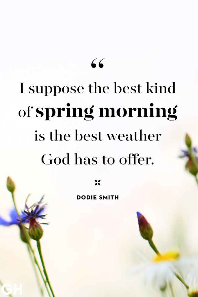 Get　Quotes　in　Springtime　You　Will　Help　the　Spirit　These　Inspiring