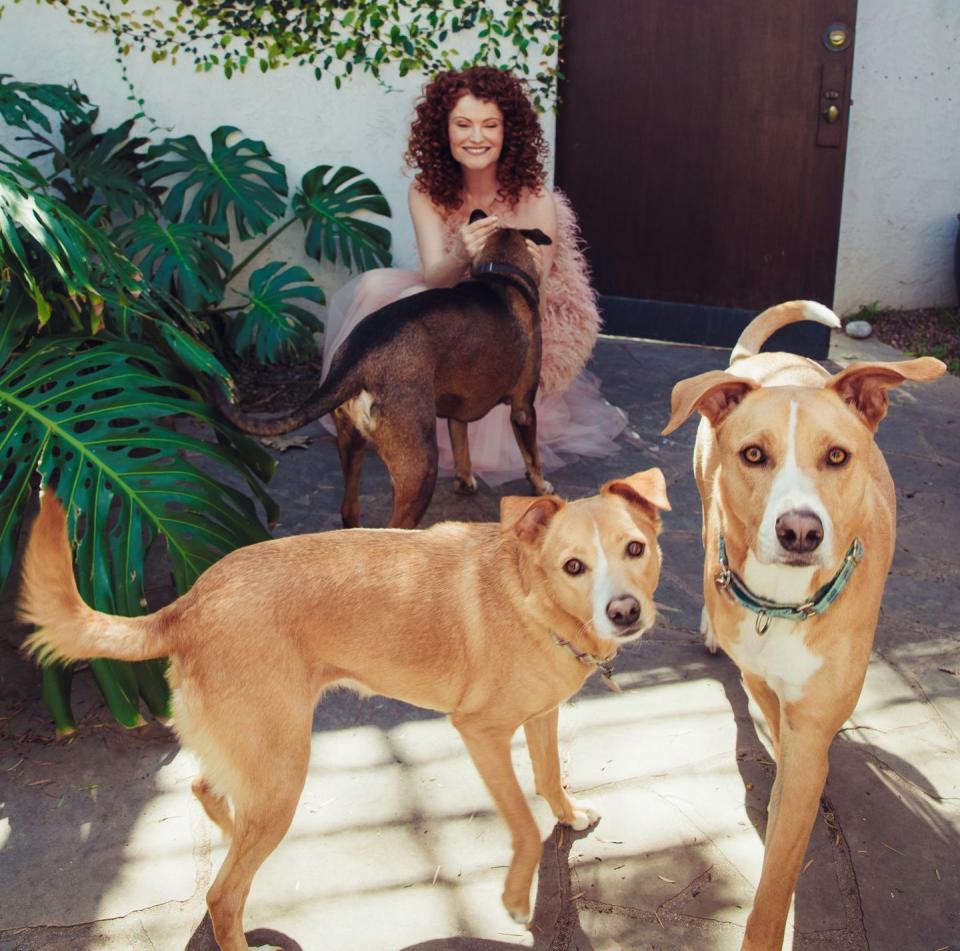 actress rebecca wisocky at home with her three dogs