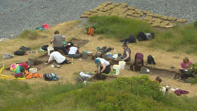 Digging up the 17th century with MUN's archaeology summer field school