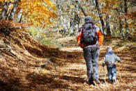 <div class="caption-credit"> Photo by: Shutterstock</div><div class="caption-title">Take a fall color hike</div>Enjoy the turning of the season with your family on a gorgeous fall color hike. Collect beautiful leaves to press in a book for the perfect memento.