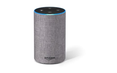 Amazon Prime Day is an opportunity to purchase a discounted Echo (pictured) or Echo Dot