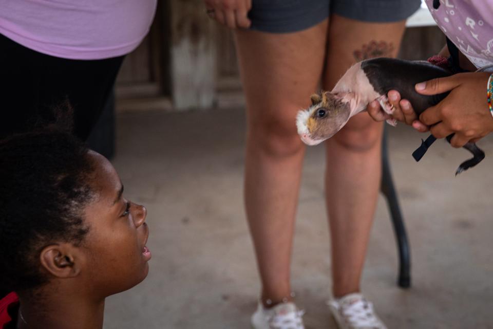 Monae Chandler, of Portland, looks at hairless guinea pig "Nacho" on Wednesday, July 12, 2023, at Camp Aranzazu in Rockport, Texas.