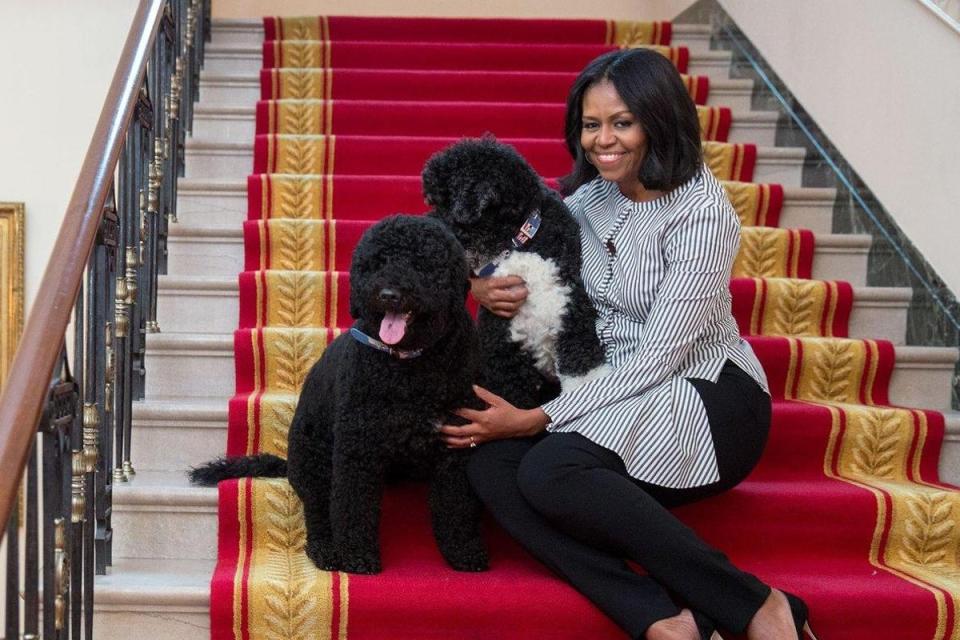 Michelle Obama tweets out a photo on 19 January 2017 'Thank you for the birthday wishes and for the greatest gift of all: the opportunity to serve as your First Lady. (@FLOTUS)