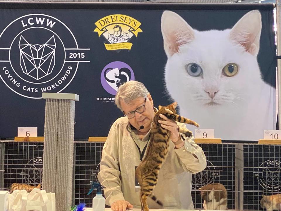 Steven Savant judges a cat at Catstravaganza on Sunday at Cal Expo. It was a weekend event featuring many cat-centric activities for feline lovers.
