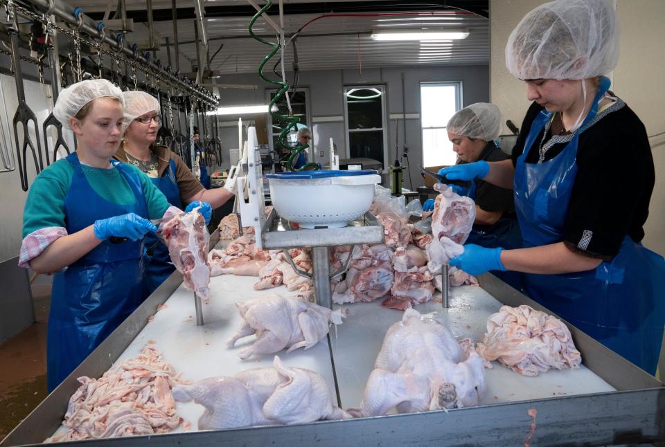 Workers prepare chicken at Buckeye Poultry in Greenwich, Ohio, U.S., May 13, 2020 as the coronavirus disease (COVID-19) outbreak continues.  REUTERS/Dane Rhys