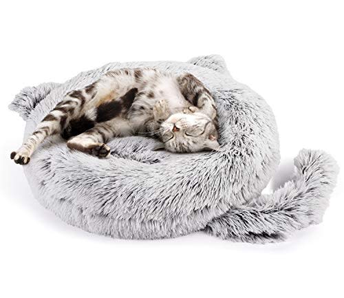 Pecute Cat Bed (Amazon / Amazon)