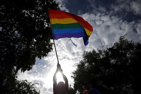 A man waves an LGBT equality rainbow flag at a celebration rally in West Hollywood, California, United States, June 26, 2015. REUTERS/Lucy Nicholson