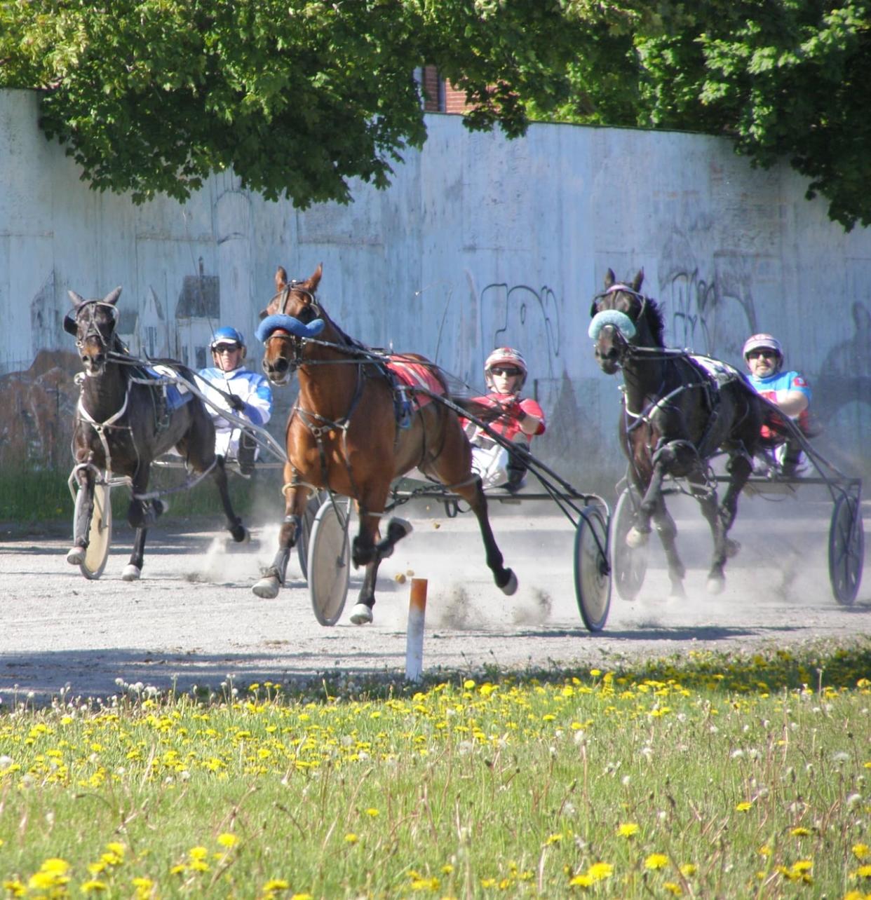 Under the zoning bylaw changes, the New Brunswick Exhibition Grounds can't be used as a racetrack, and horse racing is not a permitted activity. (Fredericton Raceway/Facebook - image credit)