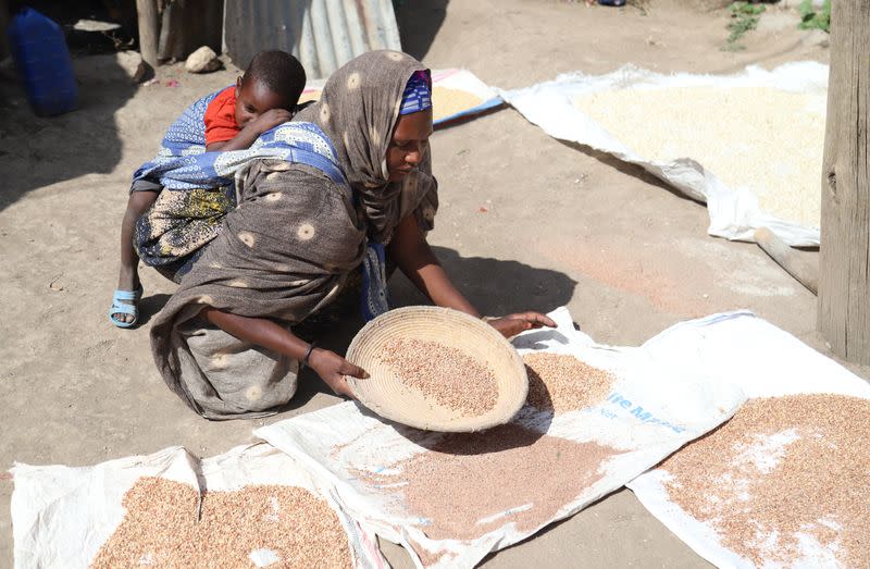 Internally displaced Ethiopian dries sorghum outside her hut in Tuli Guled