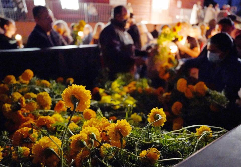 Marigolds are delivered in the back of a pickup for this year’s All Souls Day Celebration Tuesday, Nov. 2, 2021 in Hornitos.