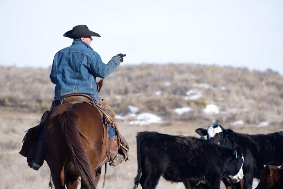 Kelly Anthony rides his horse making sure he has the right number of cattle. He has raised cattle in these grasslands for 25 years.
