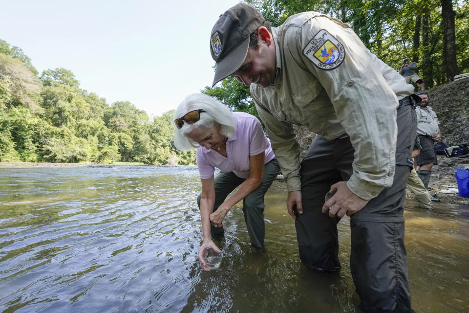 Matthew Wagner, a biologist from the U.S. Fish and Wildlife Service, guides Cheryl Berry Welch, of the Garden Club of Jackson, as they release threatened pearl darter fish, which haven't lived in the Pearl River system for 50 years, in the Strong River, a tributary of the Pearl River, in Pinola, Miss., Monday, July 31, 2023. (AP Photo/Gerald Herbert)