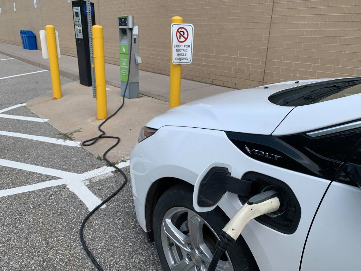 Automakers only have access to enough critical minerals to meet half of their needs for the lithium ion batteries that power electric vehicles, according to the editor of The Electric. (Darrin Di Carlo/CBC - image credit)