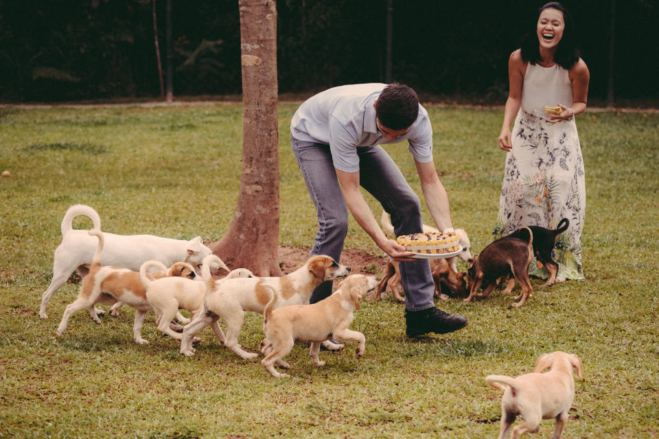 The dogs were big fans of the cake&nbsp;Fernandes brought. (Photo: <a href="https://www.triadeimagem.com/" target="_blank">Triade Imagem</a>)