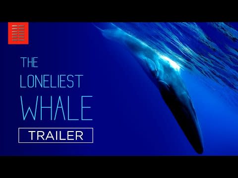 16) <i>The Loneliest Whale: The Search for 52</i>
