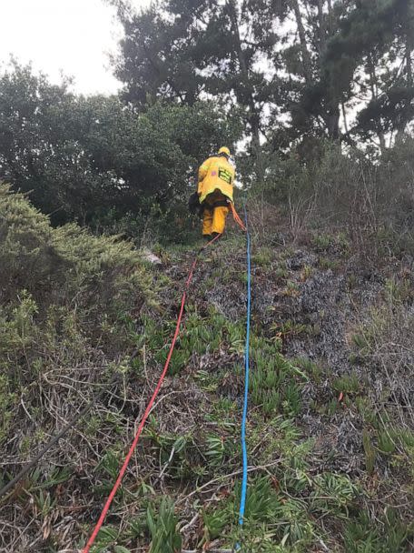 PHOTO: Hobo, a deaf 8-year-old Australian Shepherd, is going to be kept on a very short leash from now on after surviving a 100 foot fall and an hours-long rescue to save his life in Sorrento, California, on August 29, 2022. (San Diego Humane Society / Facebook)