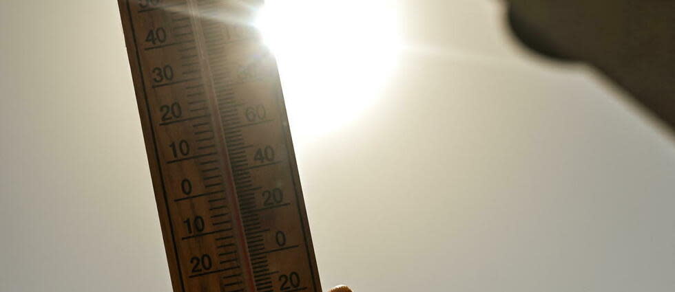 Les températures seront en hausse avec 21 à 26 °C en général attendues ce vendredi. (Photo d'illustration).  - Credit:ARTUR WIDAK / NurPhoto / NurPhoto via AFP