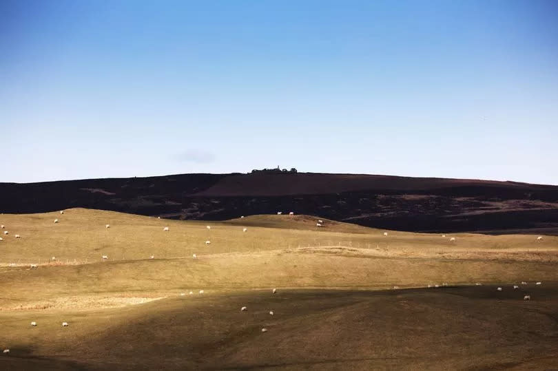 The ruins of Gwylfa Hiraethog on the Denbigh Moors