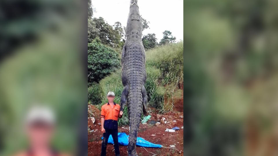 Police want to speak to this man after this image, of a dead 4.3 metre croc was shared on Facebook. Source: 7 News