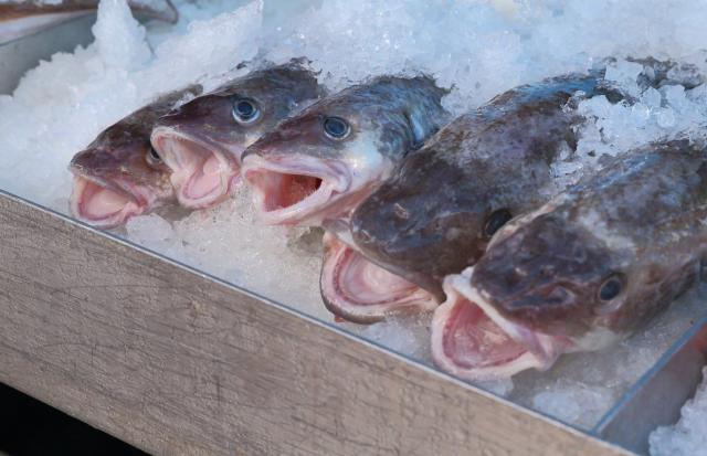 Imposter Fish: The 7 Most Often Mislabeled Fish at the Market