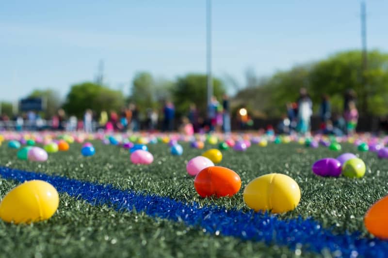 Easter egg hunt with plastic colored eggs