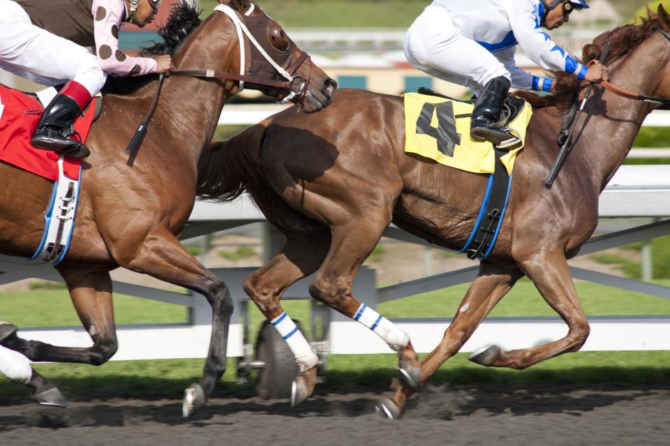 In this image released by HBO, horses race in a scene from the HBO original series "Luck." The former director of the American Humane Association's Film and Television Unit sued HBO and the group on Monday, Dec. 31, 2012, claiming she was fired for complaining about the use of drugged, sick and underweight horses on the show "Luck." (AP Photo/HBO, Gusmano Cesaretti)