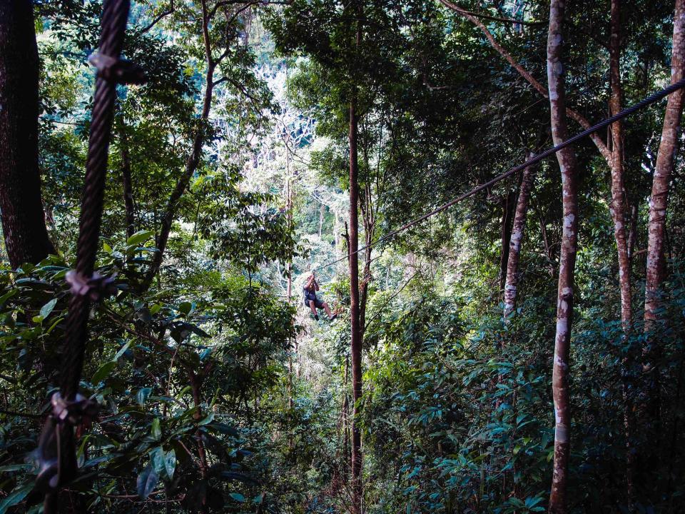 <p>你是否也曾想像過自己擁有如泰山一般穿梭於林間的超能力？到泰國清邁一定要挑戰近年超人氣景點―飛索體驗，感受飛馳穿越叢林的刺激快感。若是想走一個閑適柔緩路線，也推薦旅人們來一趟叢林漫步，多元的雨林生態將讓你驚艷，幸運的話還能邂逅可愛動物呢～</p> <cite>Booking.com</cite>