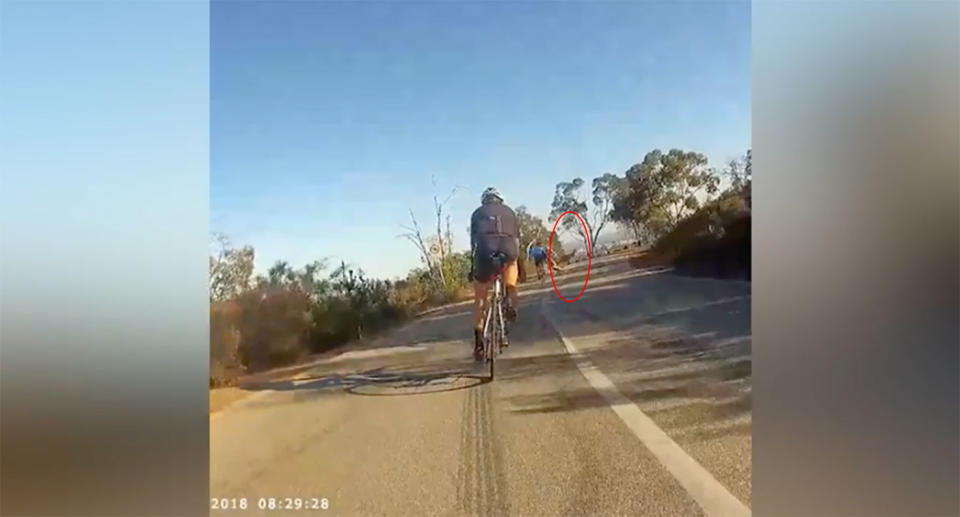 A Perth cyclist travelling at 65km/h was lucky to escape with only minor injuries after a kangaroo crashed into him, throwing him off his bike. Source: Martin Thurlby