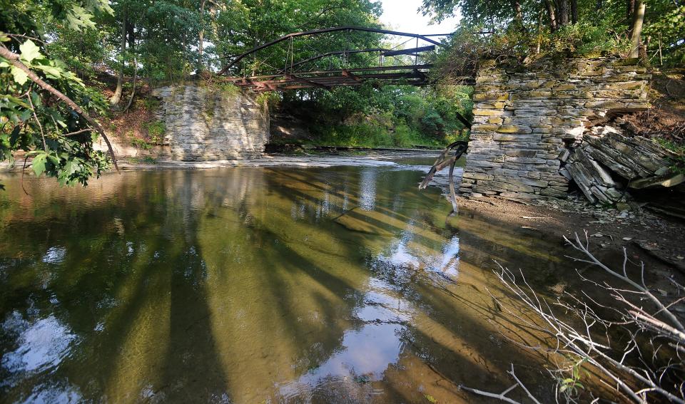 A view of the Dohler stream section of Twentymile Creek in North East Township.
