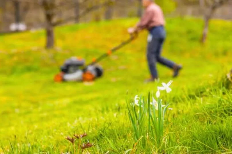 Picture of someone mowing grass