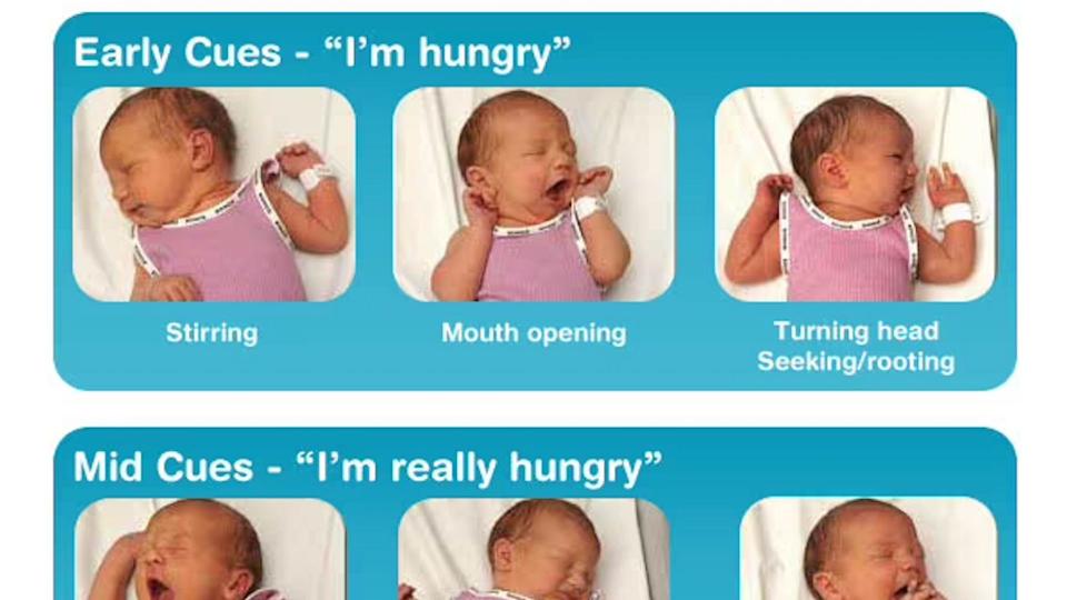 feeding-cues-baby