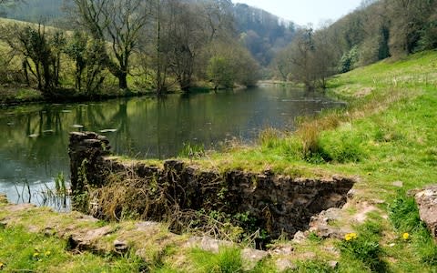 River view - Credit: Alamy