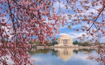 <p>Rent a paddle boat and row out along the Tidal Basin for some of the best views of the Jefferson Memorial. There are even themed swan paddleboats available for rent, for those who are interested. Those who will never get their sealegs can stay on dry land instead for some great views of the water.</p>