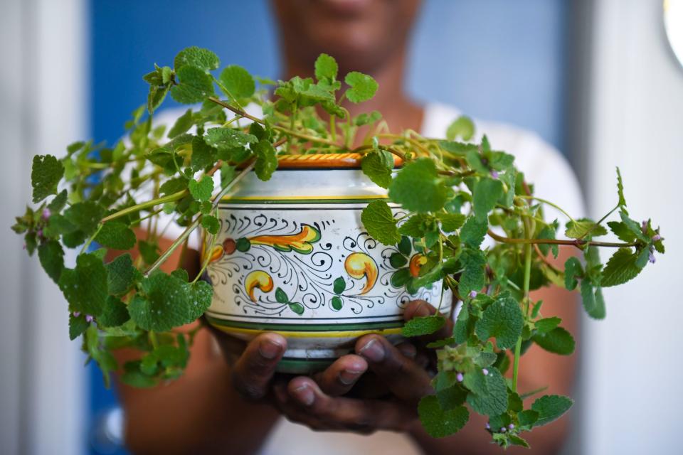 Joni Gude, owner of Baldflower Apothecary, stands for a photo holding a purple dead nettle plant inside her apothecary in Spartanburg, S.C., on Tuesday, March 12, 2024.