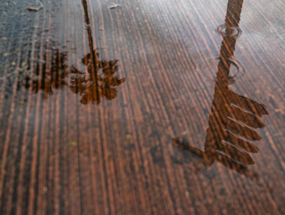 The reflection of a palm tree and a directional sign is seen in a puddle on the cart path near the first tee during the second round of The Galleri Classic at Mission Hills Country Club in Rancho Mirage on Saturday.