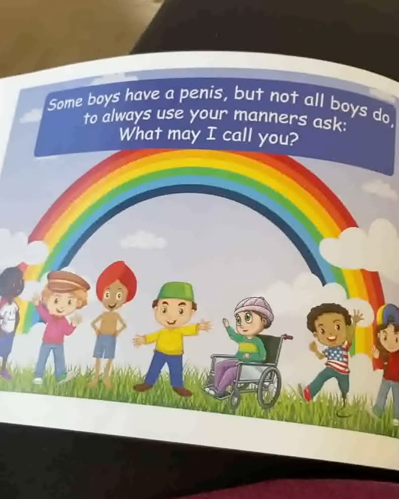 The book “These are My Eyes, This is My Nose, This is My Vulva, These are My Toes” is featured in the kindergarten lessons for the Growing Up and Staying Safe: New York City K-12 HIV Education Curriculum. YouTube