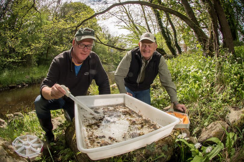 Community Foundation allocates up to £500,000 to environmental projects in Tyne and Wear and Northumberland