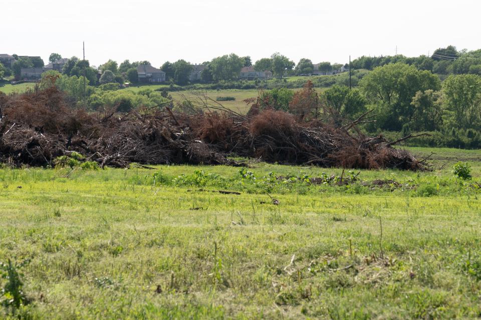 Trees can be seen Tuesday afternoon to have been removed from the land where Topeka's city government plans to build an Elevation Parkway running southwest from S.W. 45th and Gage Boulevard.