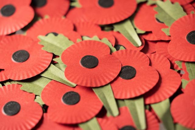 Royal British Legion makes huge change to poppies for first time since 1968  as 2023 campaign is launched