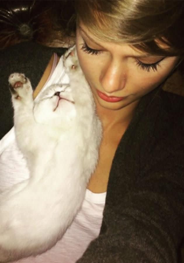 The way to Taylor's heart is through her cats! Photo: Instagram/taylorswift