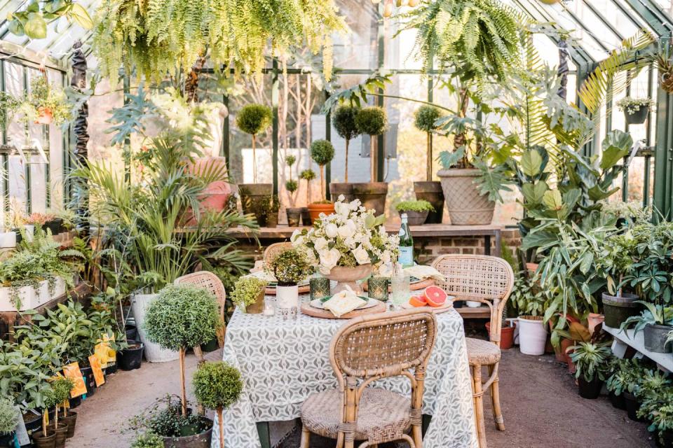 A Greenhouse Affair