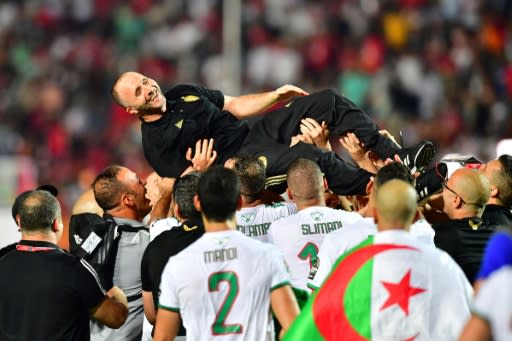 Algeria coach Djamel Belmadi is hoisted aloft by his players after leading the country to a second Africa Cup of Nations title