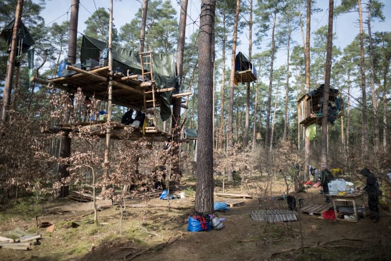 Tree houses hang in a camp organized by the "Stop Tesla" initiative in a pine forest near the Tesla Gigafactory Berlin-Brandenburg. The permit for the camp expires this Friday at midnight and is expected to be evacuated next weekend. Sebastian Gollnow/dpa
