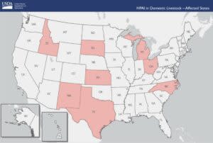 Bird flu cattle states