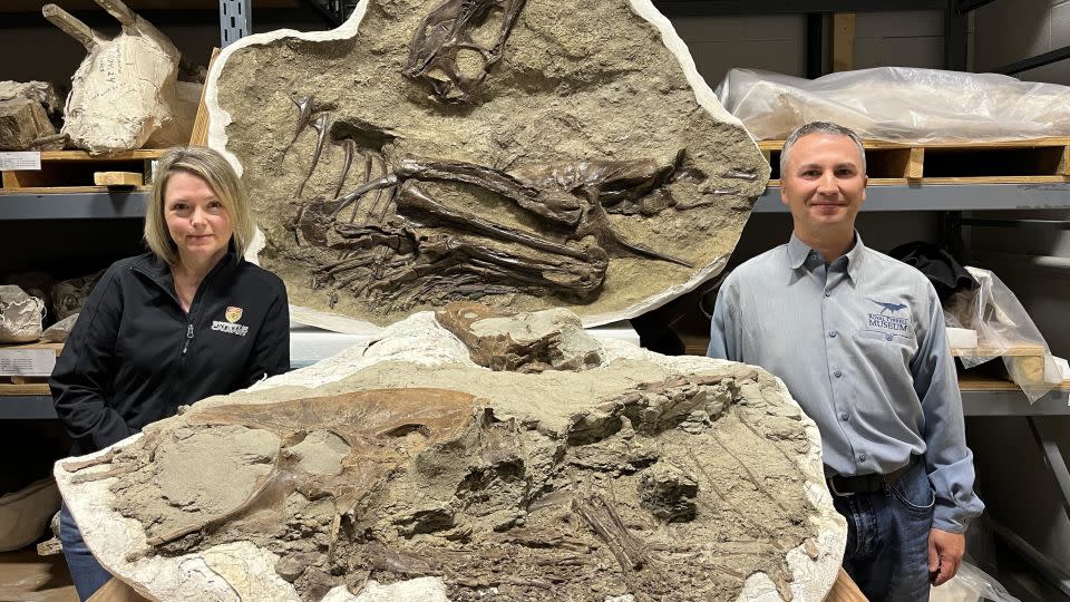 Darla Zelenitsky, an associate professor at the University of Calgary, and François Therrien, curator of dinosaur paleoecology at the Royal Tyrrell Museum in Alberta, stand next to a juvenile Gorgosaurus specimen.  - Royal Tyrrell Museum of Palaeontology